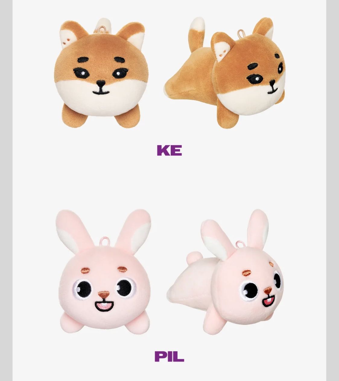 DAY6 - THE DECADE '10TH ANNIVERSARY TOUR IN DAEGU' MD Nolae