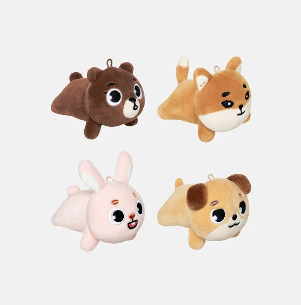 DAY6 - THE DECADE '10TH ANNIVERSARY TOUR IN DAEGU' MD Nolae