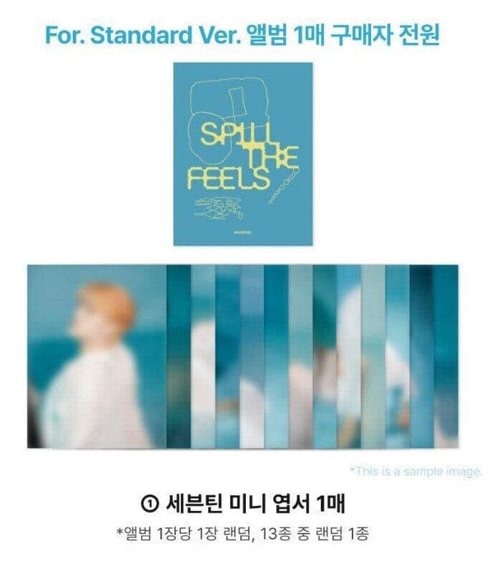 SEVENTEEN - SPILL THE FEELS + Makestar Gift Nolae