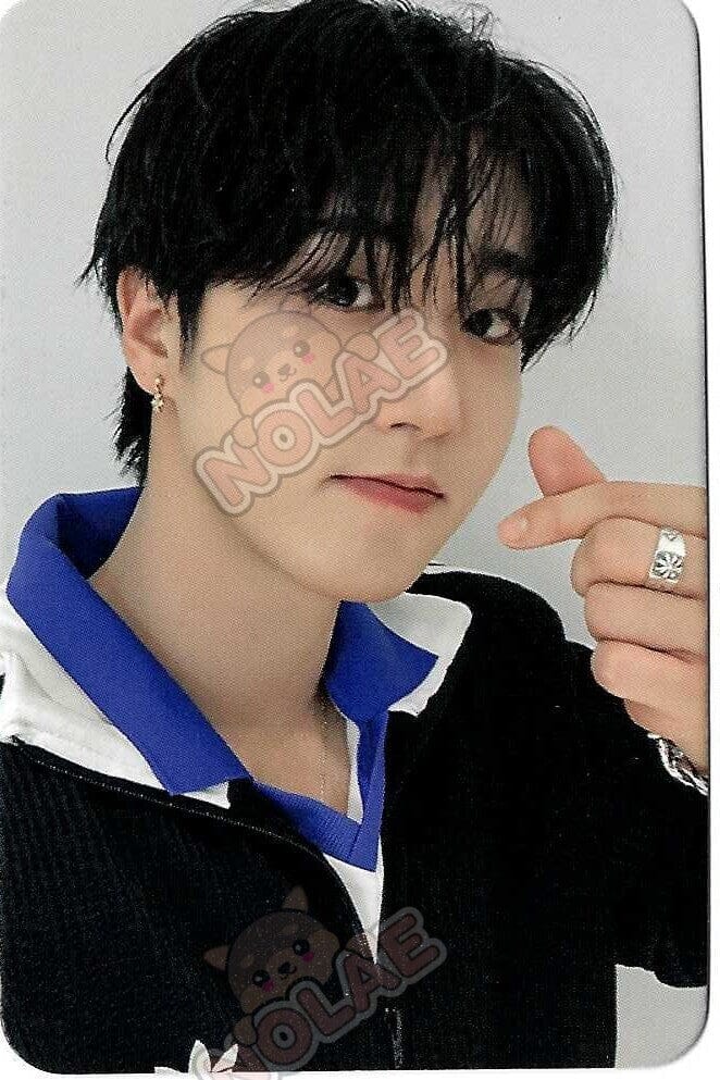 STRAY KIDS - DO IT - POB DEAR MY MUSE PHOTOCARD Nolae