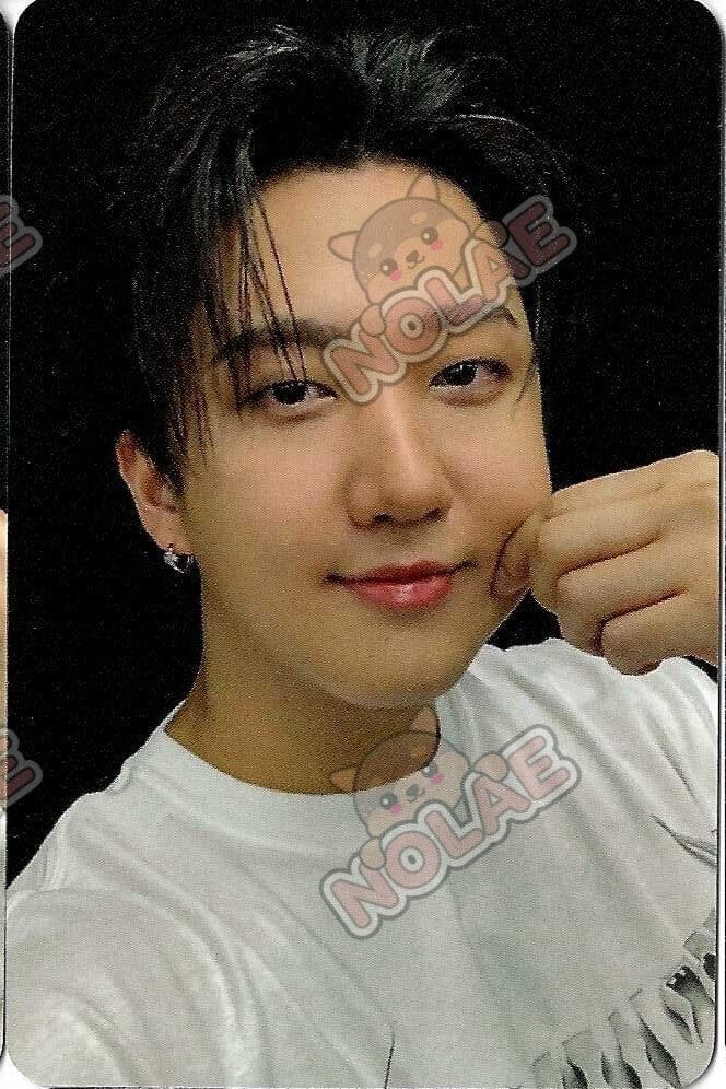 STRAY KIDS - KARMA - POB APPLE MUSIC PHOTOCARD Nolae