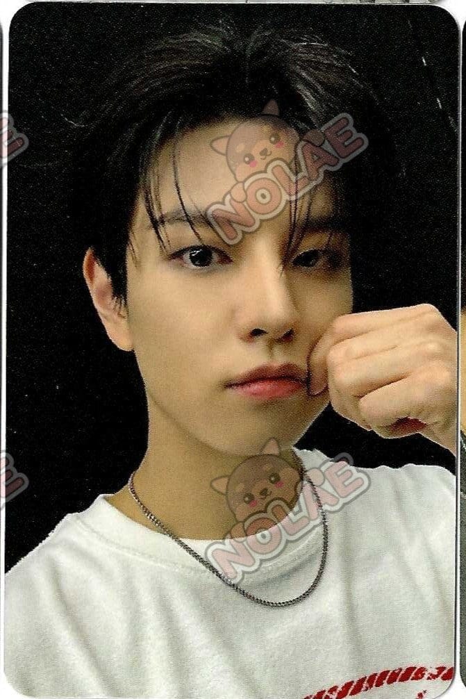 STRAY KIDS - KARMA - POB APPLE MUSIC PHOTOCARD Nolae