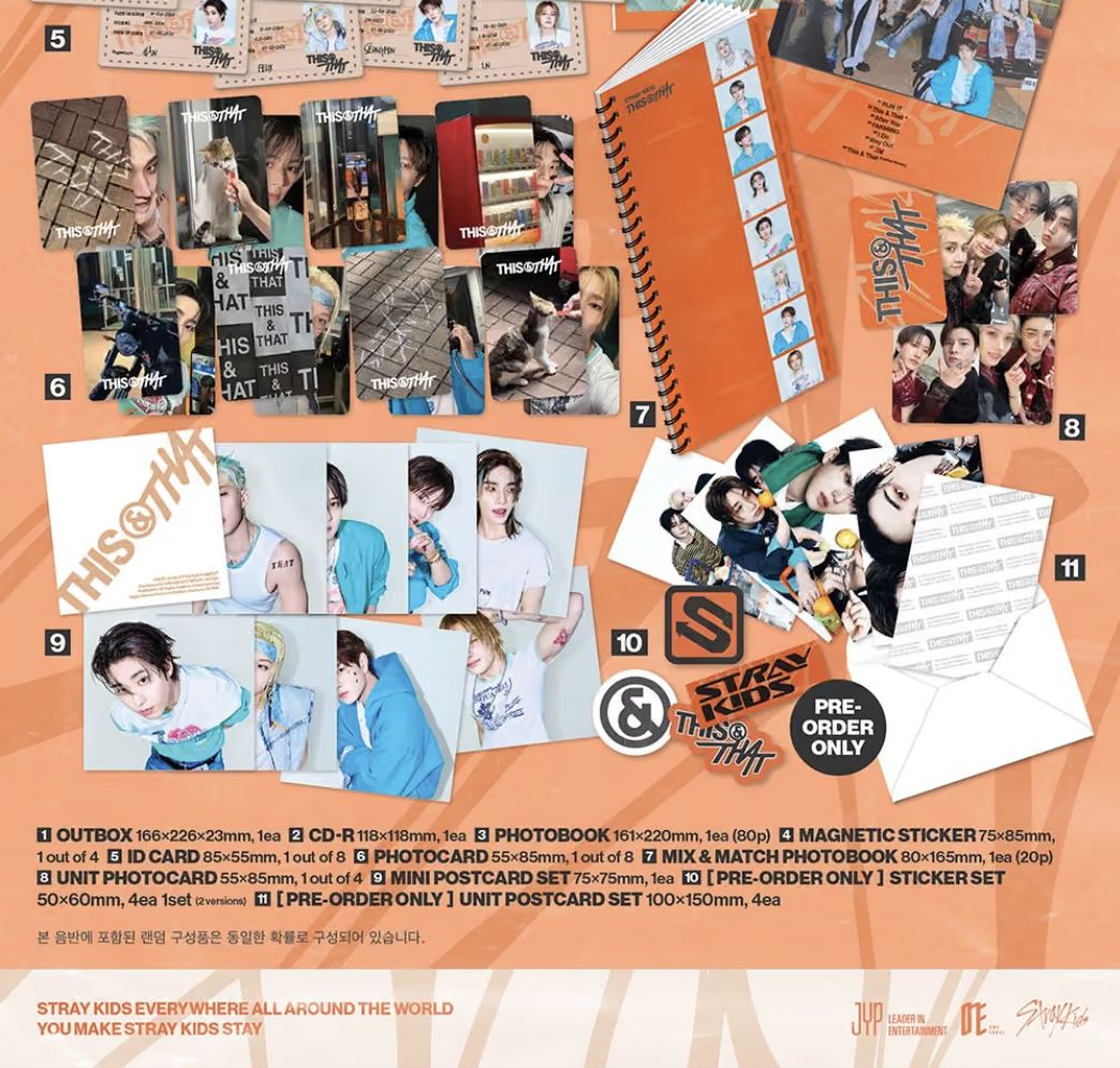 STRAY KIDS - THIS & THAT + Tower Record Gift Nolae
