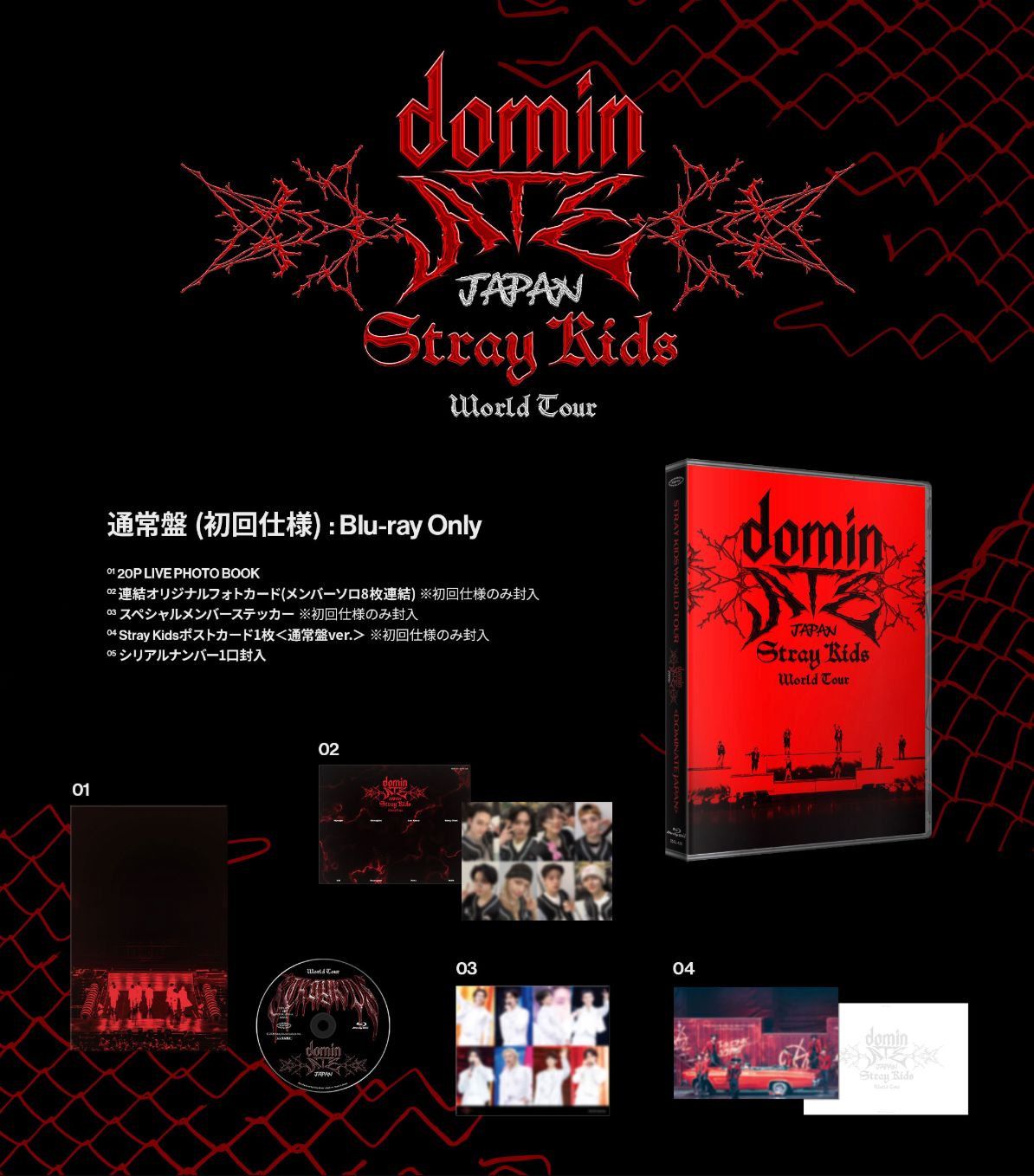 STRAY KIDS - WORLD TOUR 'DOMINATE JAPAN' (BLU-RAY) + Tower Records Gift Nolae