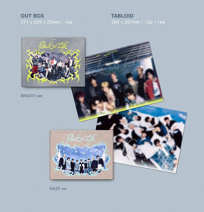 &TEAM - BACK TO LIFE (1ST KOREAN MINI ALBUM) Nolae