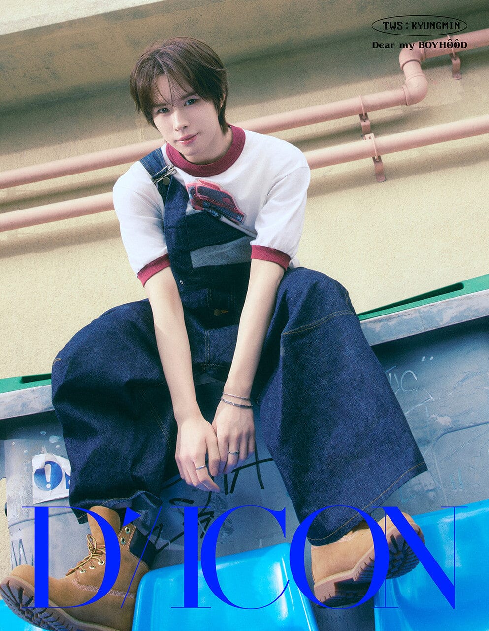 TWS - DICON (VOLUME N°34) Nolae