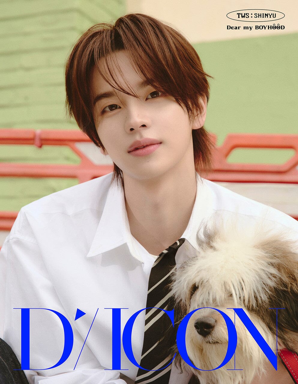 TWS - DICON (VOLUME N°34) Nolae