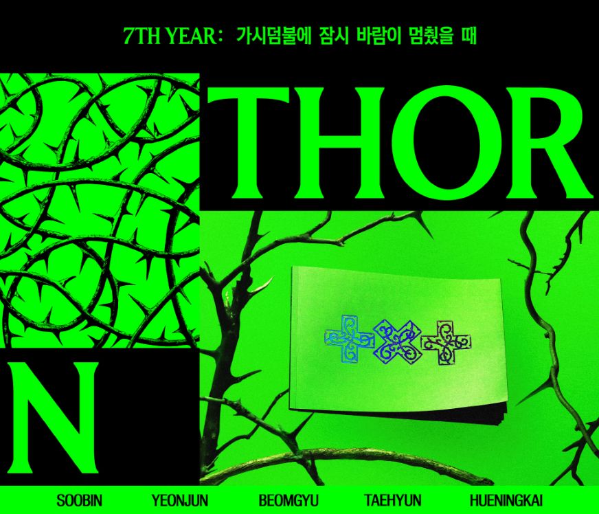 TXT - 7TH YEAR: WHEN THE WIND PAUSED AMONG THE THORNS (THORN VER.) + Aladin Gift Nolae