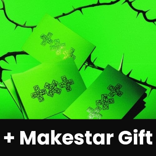 TXT - 7TH YEAR: WHEN THE WIND PAUSED AMONG THE THORNS (THORN VER.) + Makestar Gift Nolae