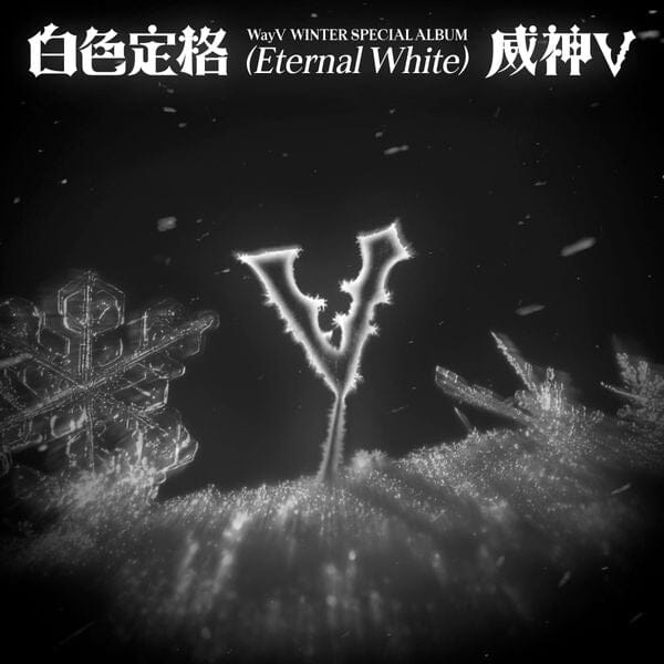 WayV - Winter Special Album [白色定格 (Eternal White)] (Photo Book Ver.) Nolae