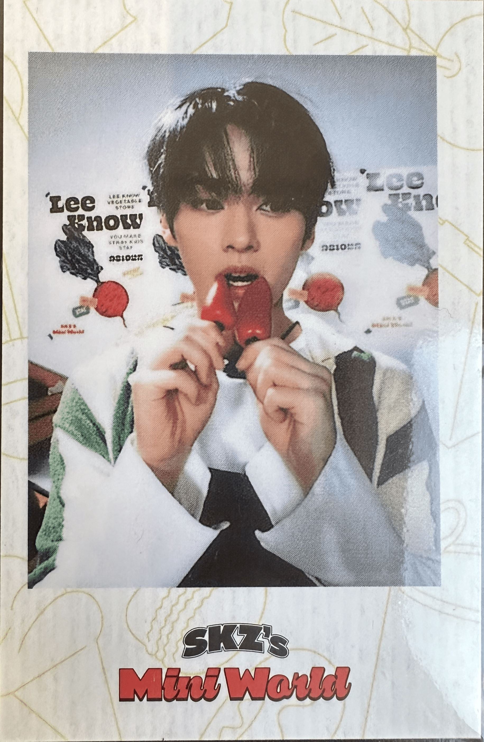 Stray Kids - 2023 Season´s Greetings Photocard Nolae Kpop